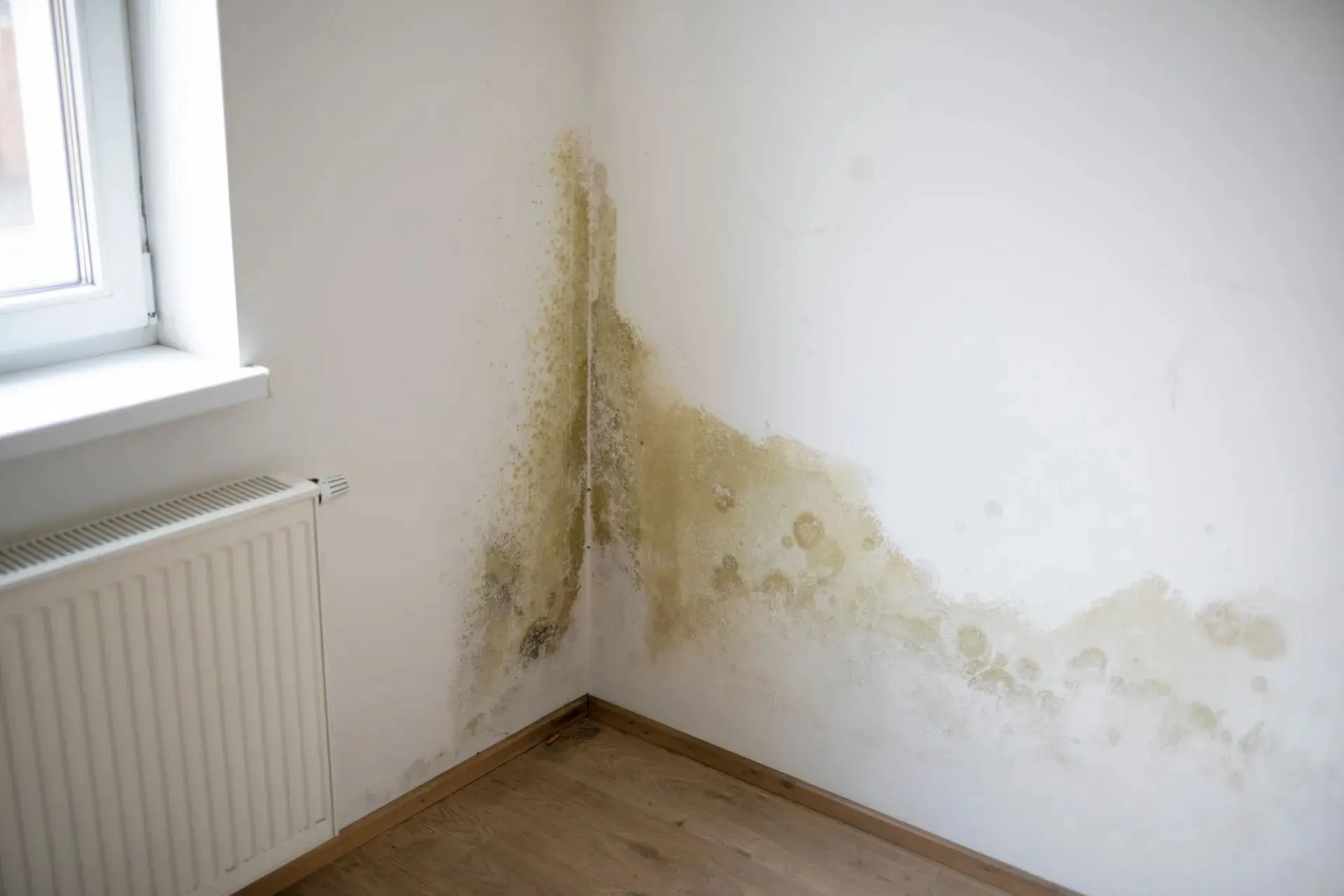 Isolation thermique à Abrest – traitement d'un mur humide avant isolation